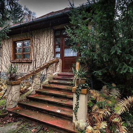 Boroka Apartmanhazak - Oereghaz 벨렘 객실 사진